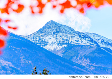 Norikura Kogen，楓樹和Norikura山[長野縣] 60149279