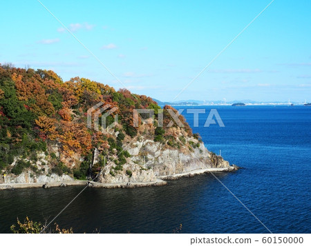 Autumn leaves of Ako Misaki, Autumn leaves of Fukuura, Autumn leaves of Cape 60150000