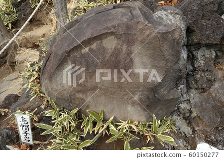 Hatomori Hachiman Shrine (Fujizuka) 60150277