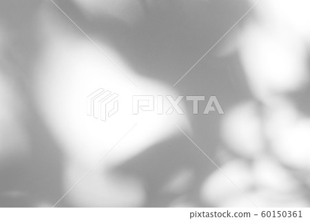 gray shadow of the leaves on a white wall 60150361
