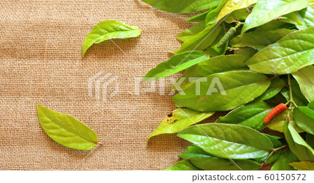 The image of the wind flowing in the wind The image of the wind flowing in the wind 60150572