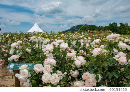 色拉高原花森林英式庭園 60151433