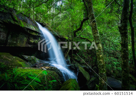 Waterfall in the tropical rainforest landscape 60151514