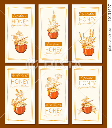 Honey flowers vintage vertical flyers design. Engraved Clover, Milk Thistle and Sainfoin plants with glass honey jar and drop. Honey flowers vintage vertical flyers design. Engraved Clover, Milk Thistle and Sainfoin plants with glass honey jar and drop. 60151697