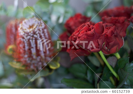 Close-up flower shop window with exotic flowers, 60152739
