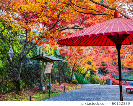 Kyoto Sanzenjyu approach to autumn 60152889
