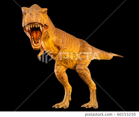 Tyrannosaurus rex ( T-rex ) is walking and open 60153250