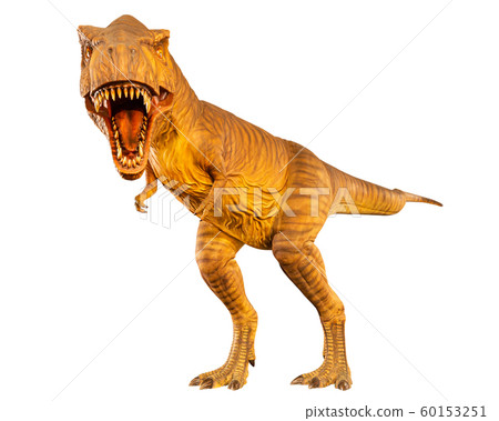 Tyrannosaurus rex ( T-rex ) is walking and open 60153251