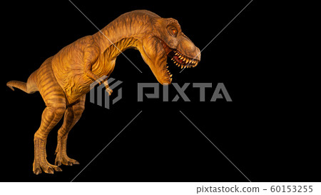 Tyrannosaurus rex ( T-rex ) is walking and open 60153255