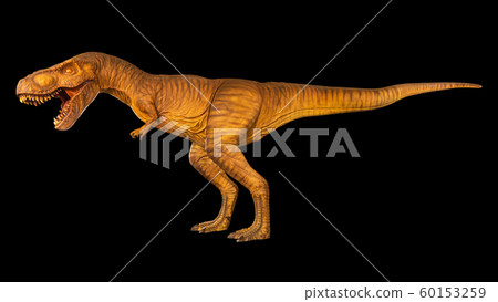 Tyrannosaurus rex is walking and open mouth . Side 60153259