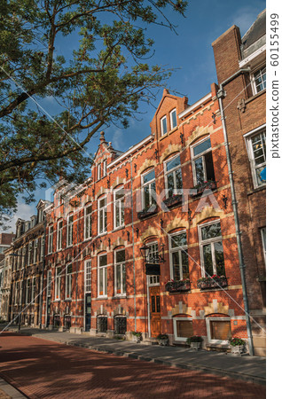 Street with brick houses and shade of trees 60155499