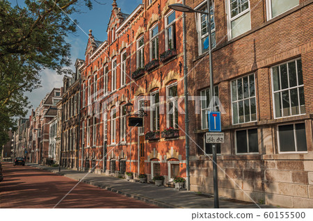 Street with brick houses and shade of trees Street with brick houses and shade of trees 60155500