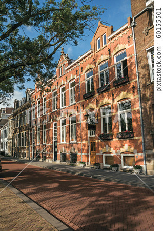 Street with brick houses and shade of trees 60155501