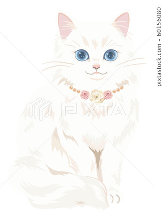 Cat's illustration 60156080