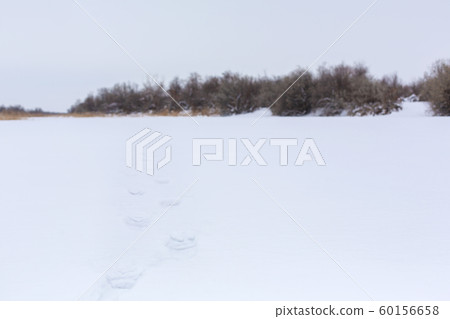 A man walks along a frozen lake strewn with snow. A man walks along a frozen lake strewn with snow. 60156658