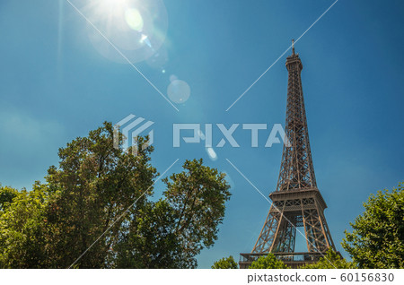 Trees and Eiffel Tower on a sunny day in Paris Trees and Eiffel Tower on a sunny day in Paris 60156830