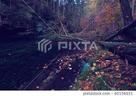 Colorful park scene in the fall with orange and 60156831