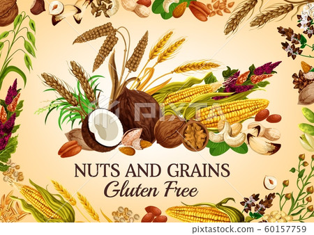 Organic nuts, healthy super food cereal grains Organic nuts, healthy super food cereal grains 60157759