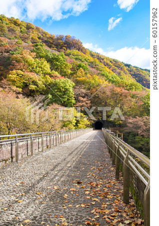 Colored Leaves Megane Bridge (Usui 3rd Bridge Upper) 60157962
