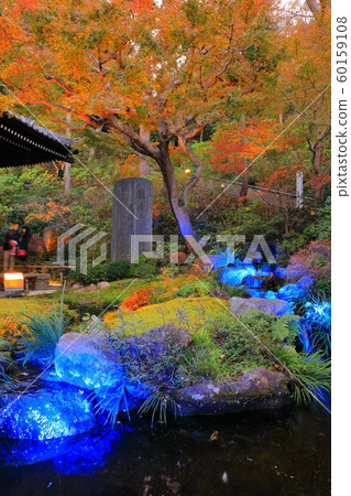 [神奈川縣]長谷寺秋葉照亮 60159108