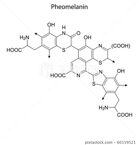 Skeletal formula of Chemical element Skeletal formula of Chemical element 60159521