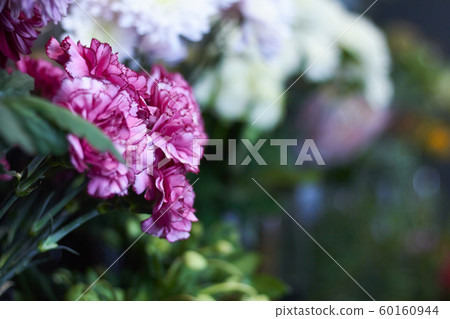 Close-up flower shop window with exotic flowers, selective focus Close-up flower shop window with exotic flowers, selective focus 60160944