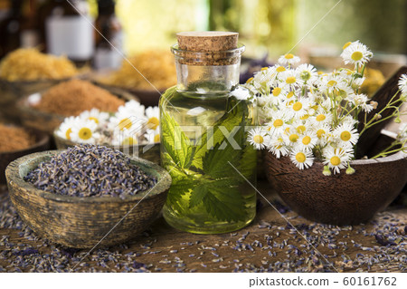 Fresh herbs and oils, wooden table background Fresh herbs and oils, wooden table background 60161762