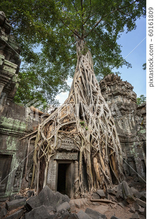 Ruins of Ta Prohm - Angkor Wat - Cambodia Ruins of Ta Prohm - Angkor Wat - Cambodia 60161809