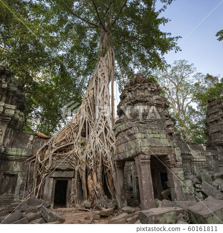 Ruins of Ta Prohm - Angkor Wat - Cambodia Ruins of Ta Prohm - Angkor Wat - Cambodia 60161811
