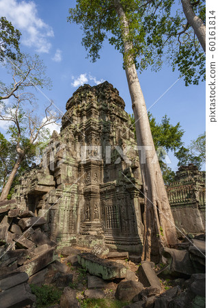 Ruins of Ta Prohm - Angkor Wat - Cambodia Ruins of Ta Prohm - Angkor Wat - Cambodia 60161814