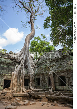 Ruins of Ta Prohm - Angkor Wat - Cambodia Ruins of Ta Prohm - Angkor Wat - Cambodia 60161817