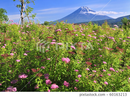 Mt. Fuji-222753 from Ukishimagahara Nature Park 60163213