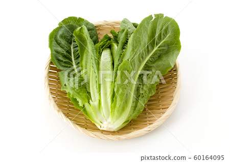 Romaine lettuce Romaine lettuce 60164095