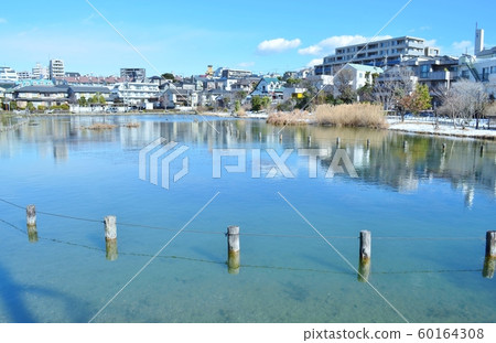 小池風景 小池風景 60164308