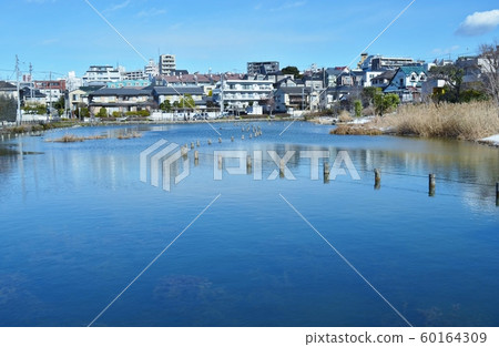 小池風景 小池風景 60164309