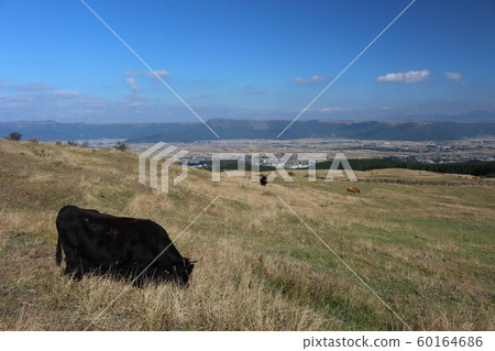 阿蘇牧場和城市景觀 60164686