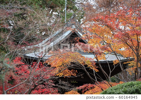 Sa玉縣新座市的Hirarinji寺在秋天 Sa玉縣新座市的Hirarinji寺在秋天 60164945