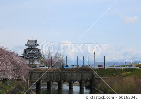 春季通宵城堡37(岐阜縣沖繩市) 春季通宵城堡37(岐阜縣沖繩市) 60165045
