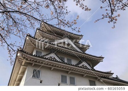 春季通宵城堡51(岐阜縣大垣市住莊市) 春季通宵城堡51(岐阜縣大垣市住莊市) 60165059