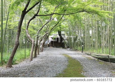 中仙堂:茶館遺址,87(岐阜縣大垣市赤坂) 中仙堂:茶館遺址,87(岐阜縣大垣市赤坂) 60165772