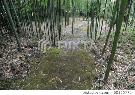 中仙堂:茶館遺址,88(岐阜縣大垣市赤坂) 中仙堂:茶館遺址,88(岐阜縣大垣市赤坂) 60165773