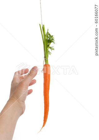 Dangling carrot Dangling carrot 60166077