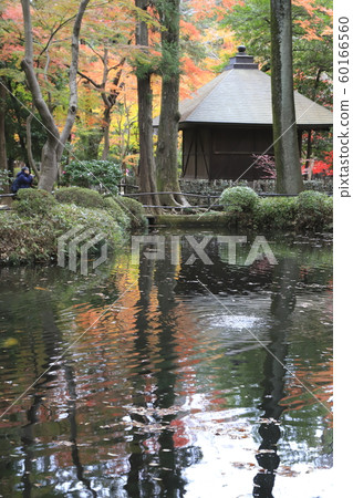Autumn Hirarinji Hojoike, Niiza City, Saitama Prefecture 60166560