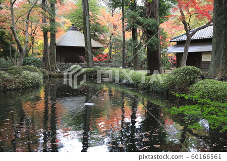Autumn Hirarinji Hojoike, Niiza City, Saitama Prefecture 60166561