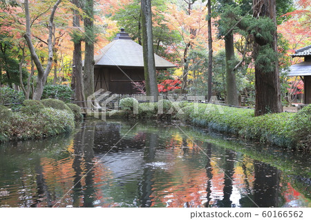 Autumn Hirarinji Hojoike, Niiza City, Saitama Prefecture 60166562