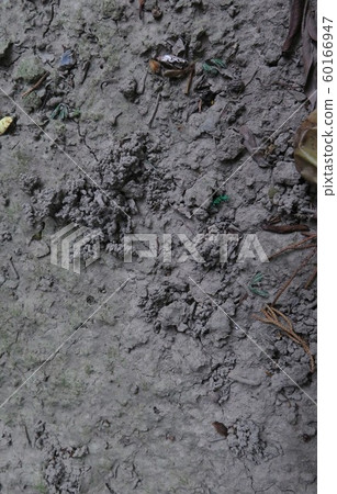 Soil drought image background Soil drought image background 60166947