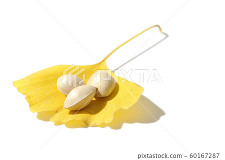 葉板 葉板 60167287