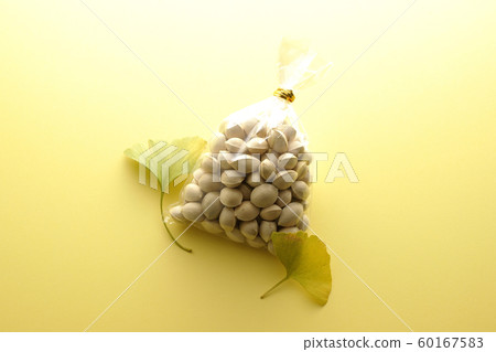 Ginkgo bagging 60167583