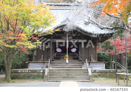 秋天的Hirarinji寺，zo玉新宿半藏寶殿 60167593
