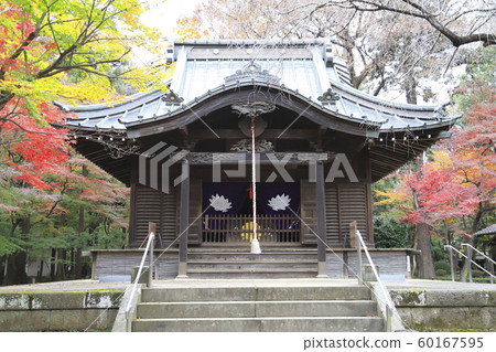 秋天的Hirarinji寺,zo玉新宿半藏寶殿 秋天的Hirarinji寺,zo玉新宿半藏寶殿 60167595